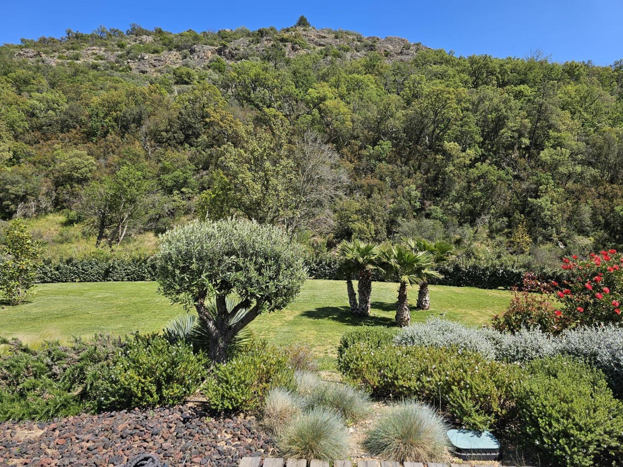 Villa Les Trois J Grimaud Exteriér fotografie